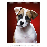 Hond kalenderpagina met een puppy op een rode achtergrond