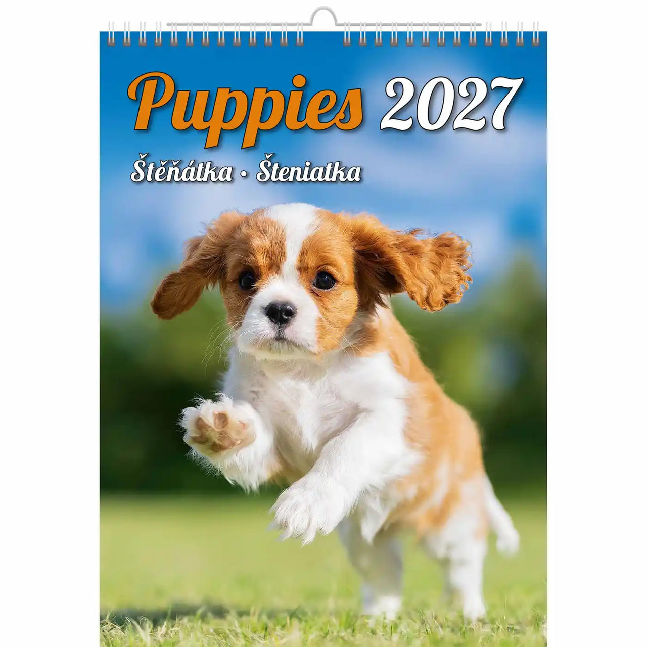 Kalenderomslag met een puppy die op gras rent met de tekst 'Puppies 2027'.