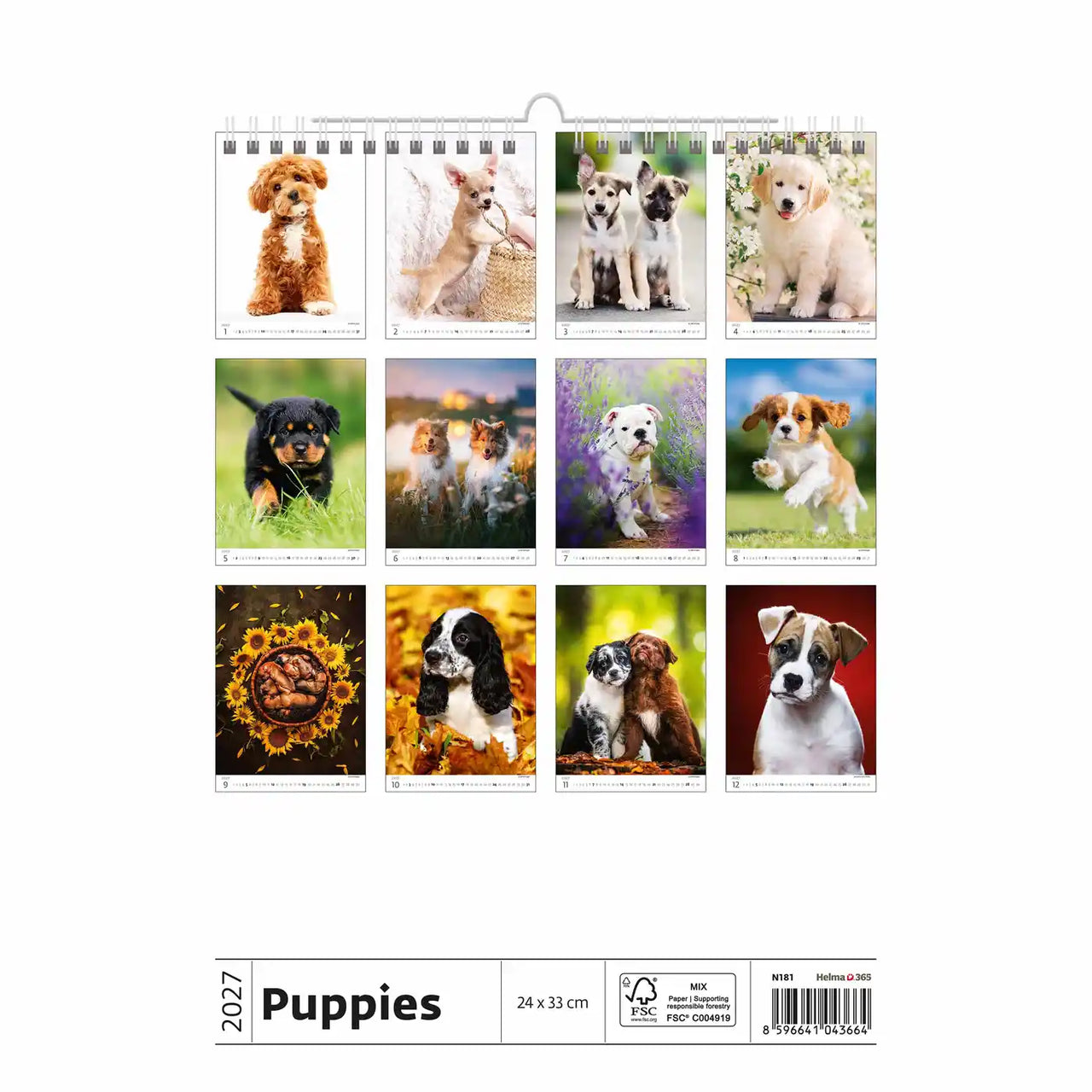 Kalender met afbeeldingen van puppy's op een witte achtergrond