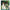 Impressionist Kunstkalender A2 2026+