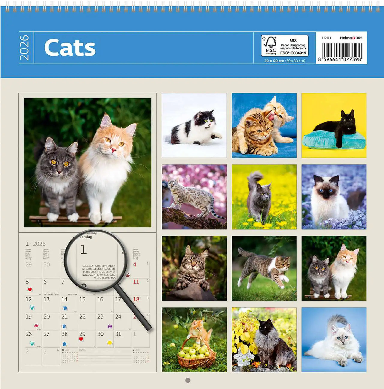 2026 Kalender schreiben 30 x 30 Katzen