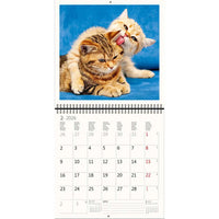 2026 Kalender schreiben 30 x 30 Katzen