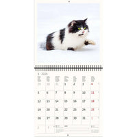2026 Kalender schreiben 30 x 30 Katzen