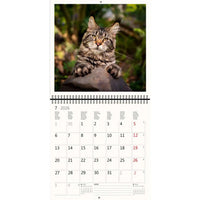 2026 Kalender schreiben 30 x 30 Katzen