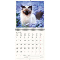 2026 Kalender schreiben 30 x 30 Katzen