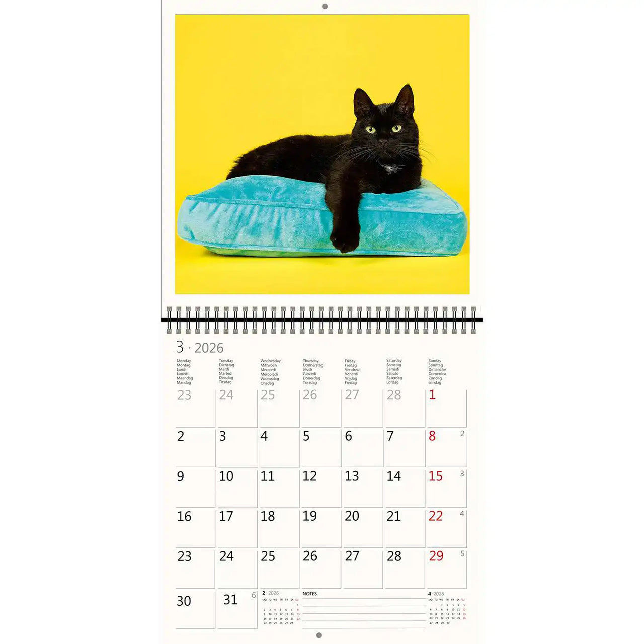 2026 Kalender schreiben 30 x 30 Katzen
