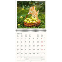 2026 Kalender schreiben 30 x 30 Katzen