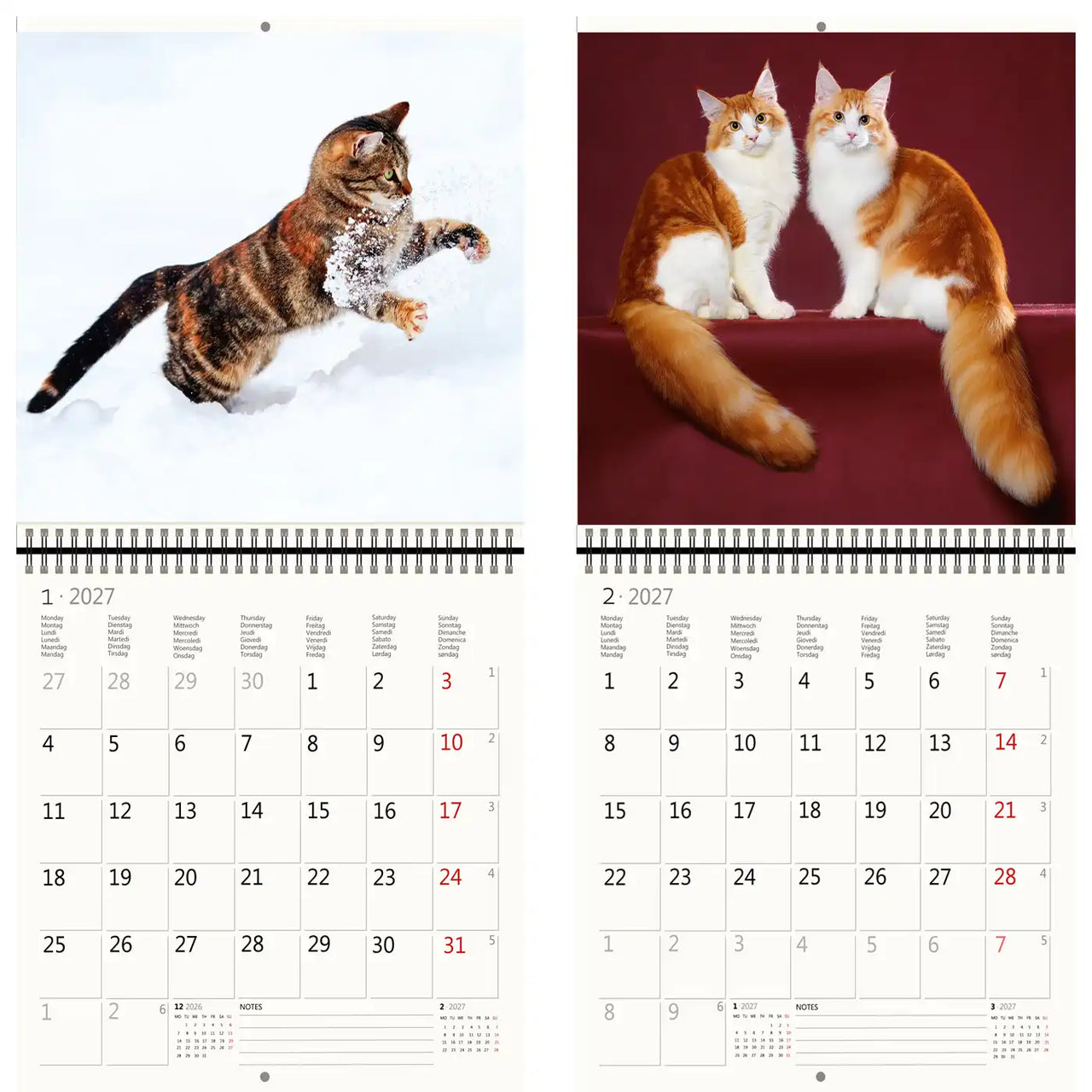 Kalender met twee kattenafbeeldingen en een besneeuwd tafereel