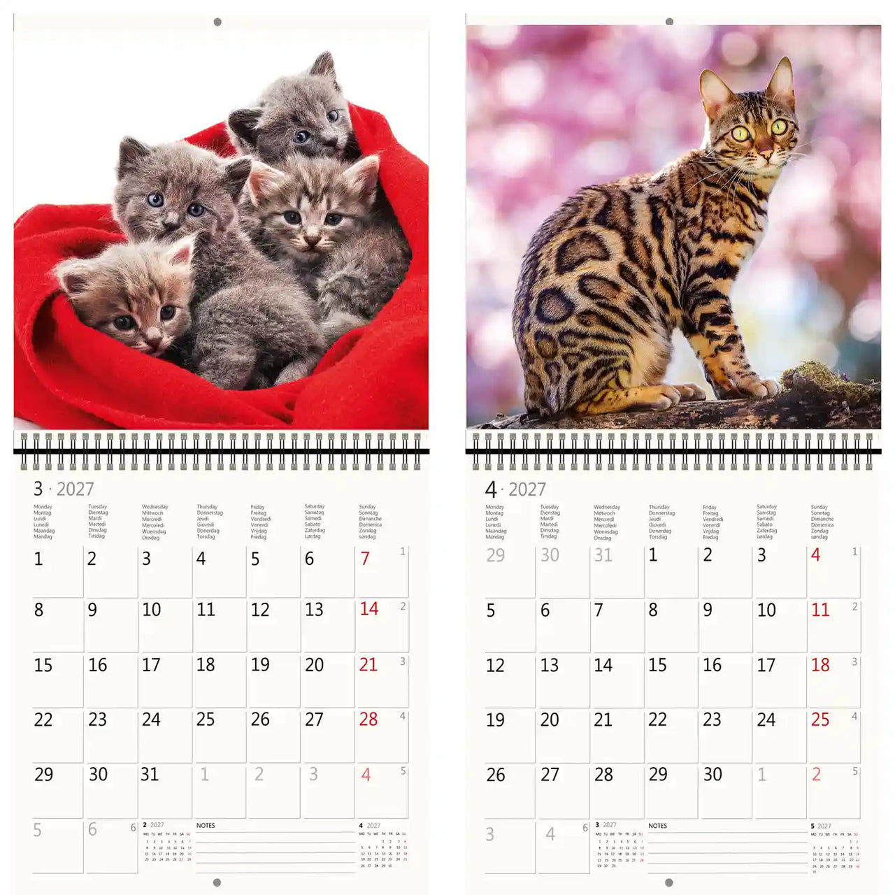 Kalender met afbeeldingen van kittens en een Bengaalse kat, met twee verschillende kattenthema's pagina's.