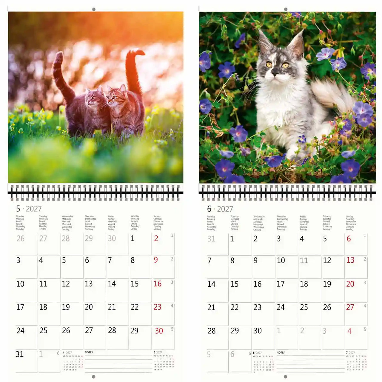 Kalender met twee kattenafbeeldingen op een groene achtergrond