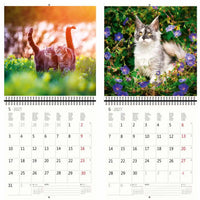 Kalender met twee kattenafbeeldingen op een groene achtergrond