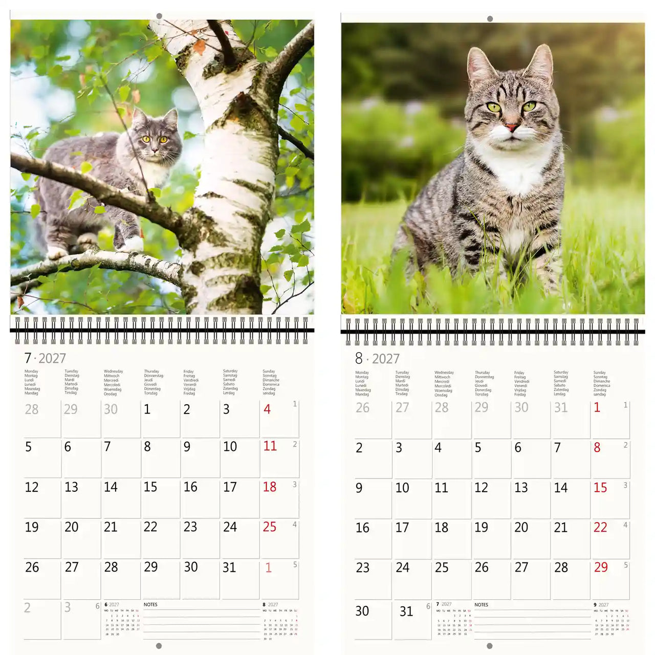 Kalender met afbeeldingen van een kat in een boom en een andere kat in het gras, met de maanden juli en augustus 2027.