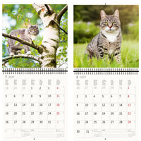 Kalender met afbeeldingen van een kat in een boom en een andere kat in het gras, met de maanden juli en augustus 2027.