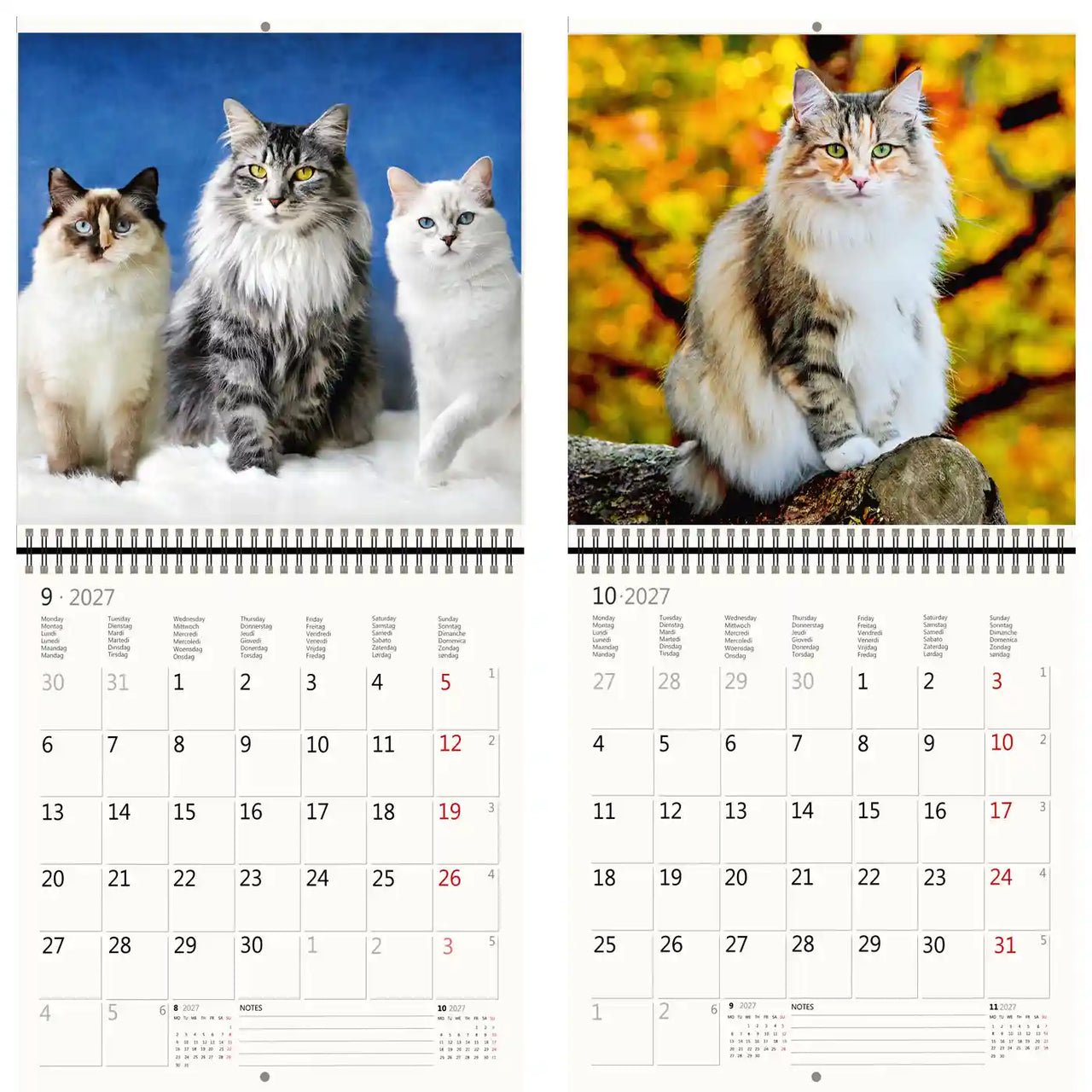 Kalender met afbeeldingen van katten op een besneeuwde achtergrond en een andere kat op een boomtak.