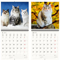 Kalender met afbeeldingen van katten op een besneeuwde achtergrond en een andere kat op een boomtak.