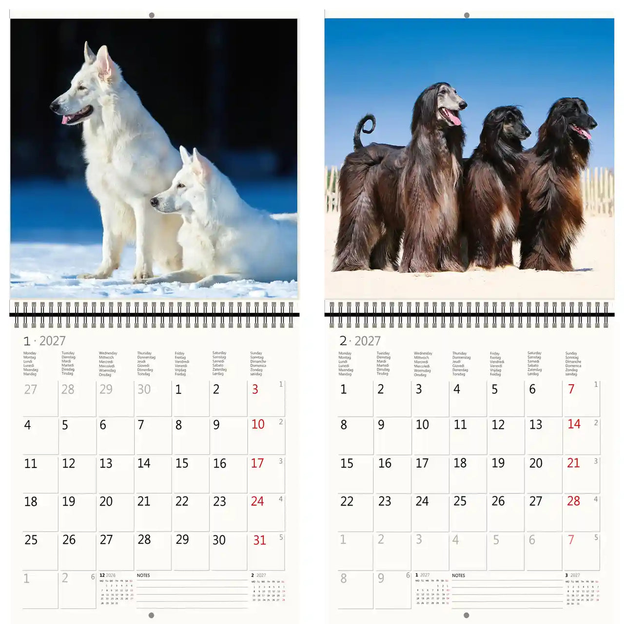 Twee kalender pagina's honden in verschillende settings tonen met zichtbare data.