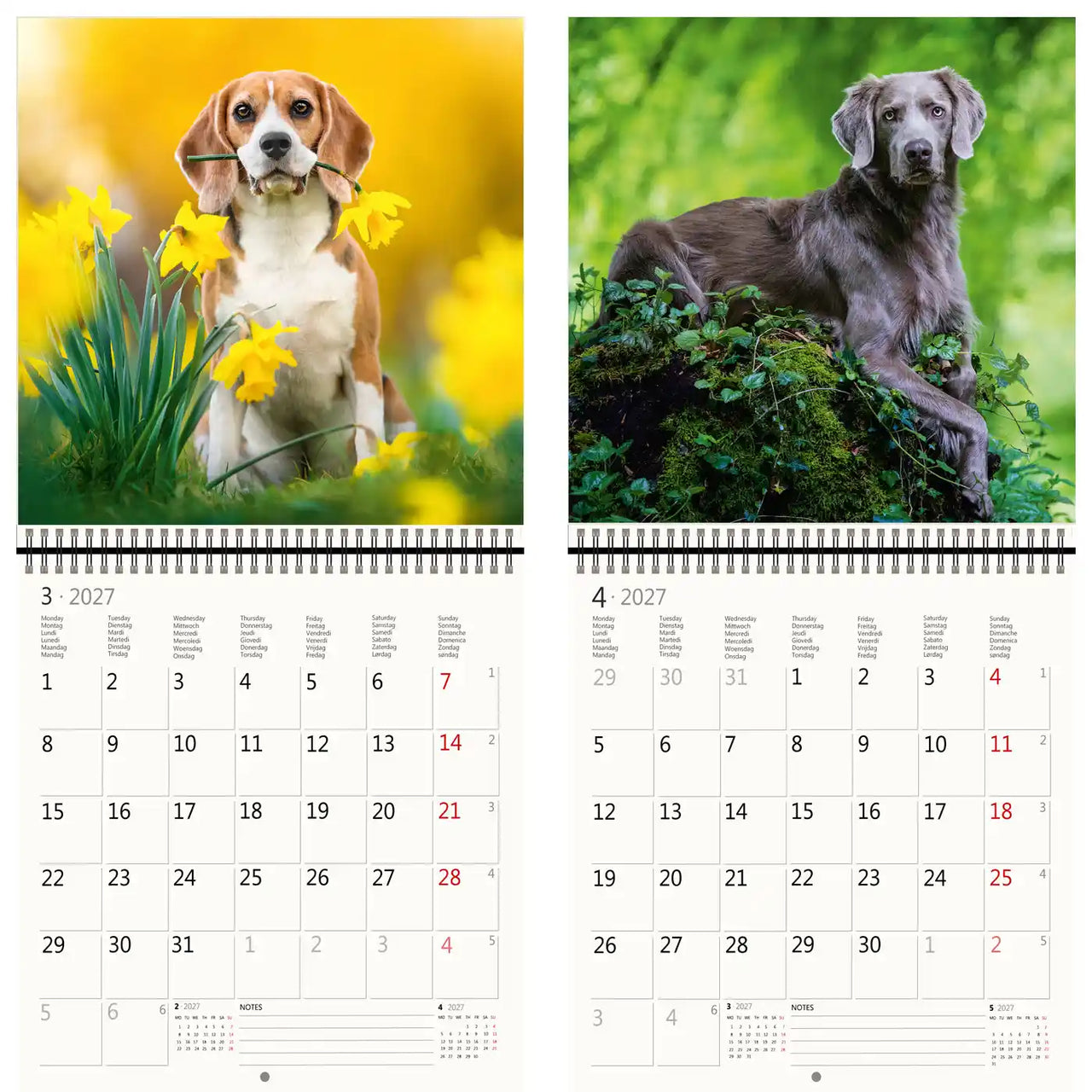 Kalender met twee hondenafbeeldingen op een gele en groene achtergrond