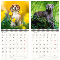 Kalender met twee hondenafbeeldingen op een gele en groene achtergrond