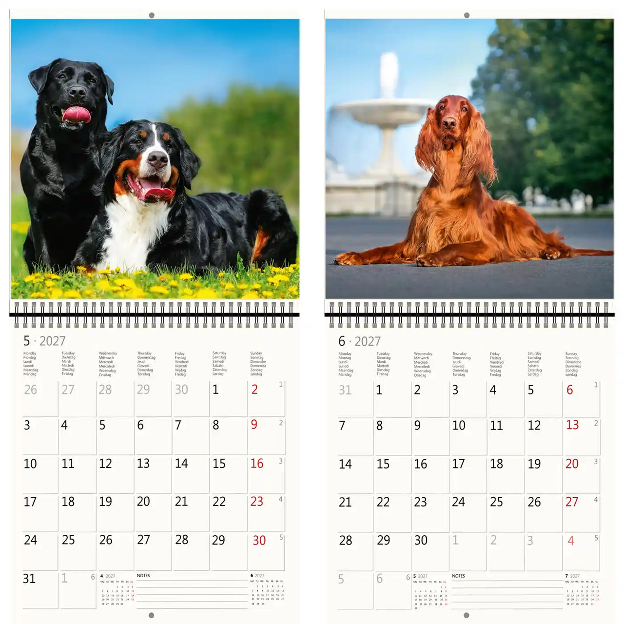 Kalender met afbeeldingen van honden en een fontein op een witte achtergrond