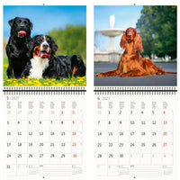 Kalender met afbeeldingen van honden en een fontein op een witte achtergrond