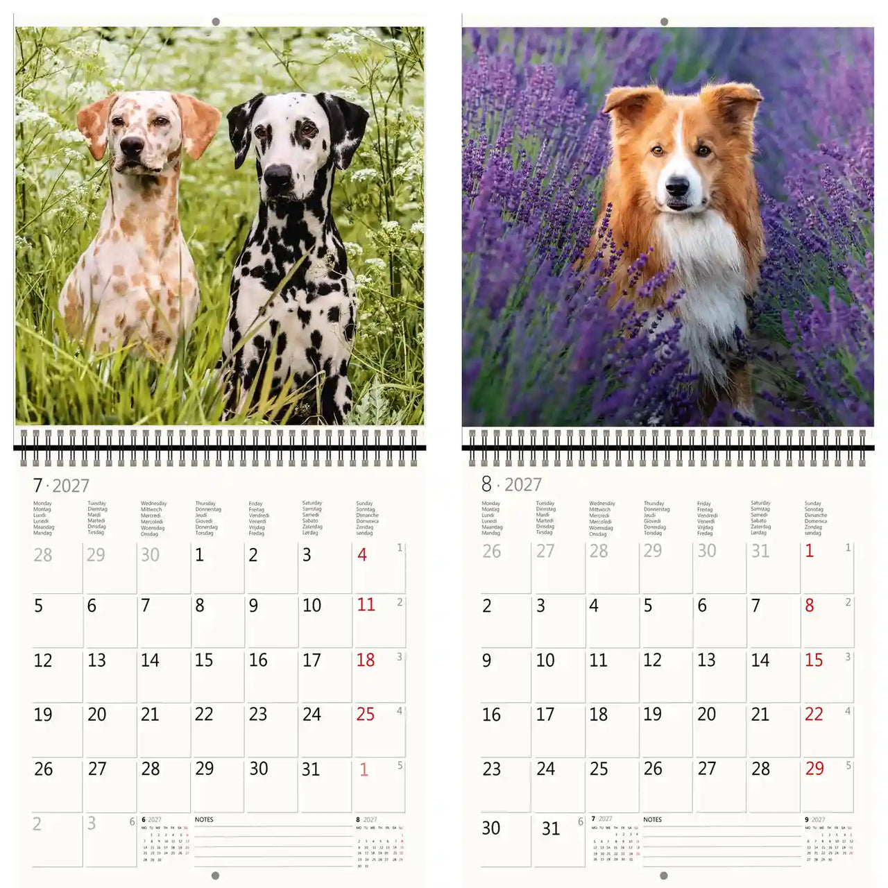 Kalender met afbeeldingen van honden in een natuurlijke omgeving