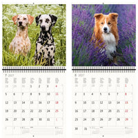 Kalender met afbeeldingen van honden in een natuurlijke omgeving