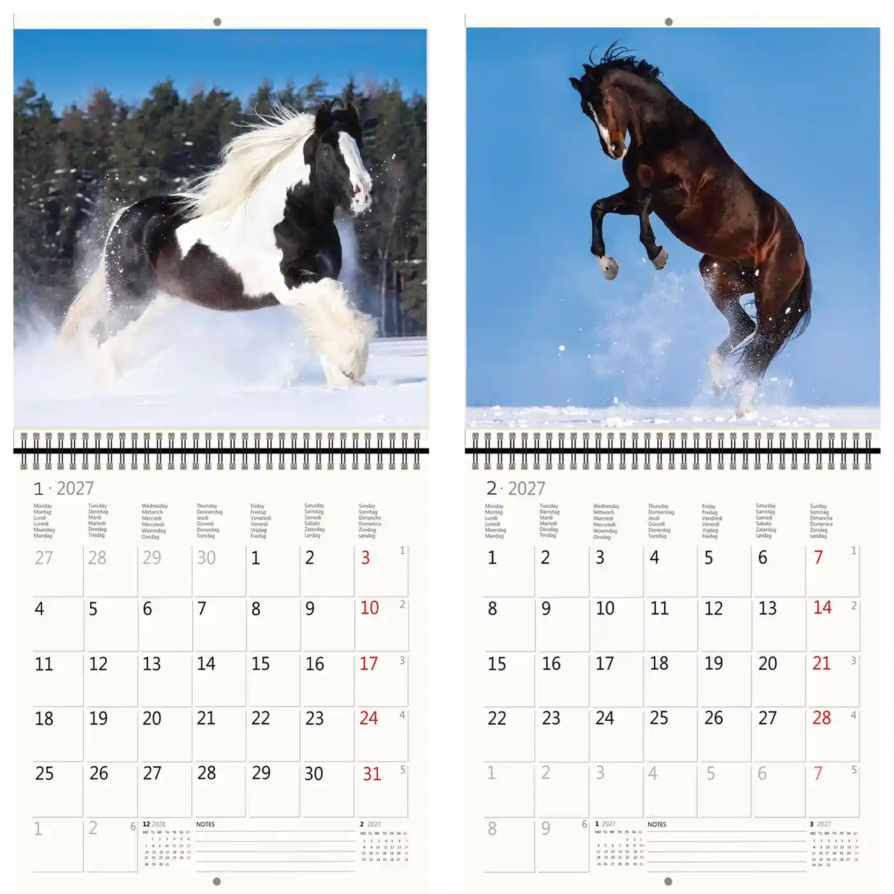 Kalender met twee paardenafbeeldingen op een besneeuwde achtergrond