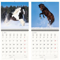 Kalender met twee paardenafbeeldingen op een besneeuwde achtergrond