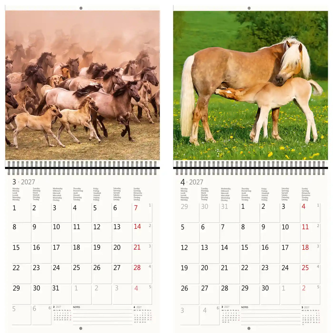 Kalender met afbeeldingen van paarden en veulens op een witte achtergrond