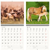Kalender met afbeeldingen van paarden en veulens op een witte achtergrond