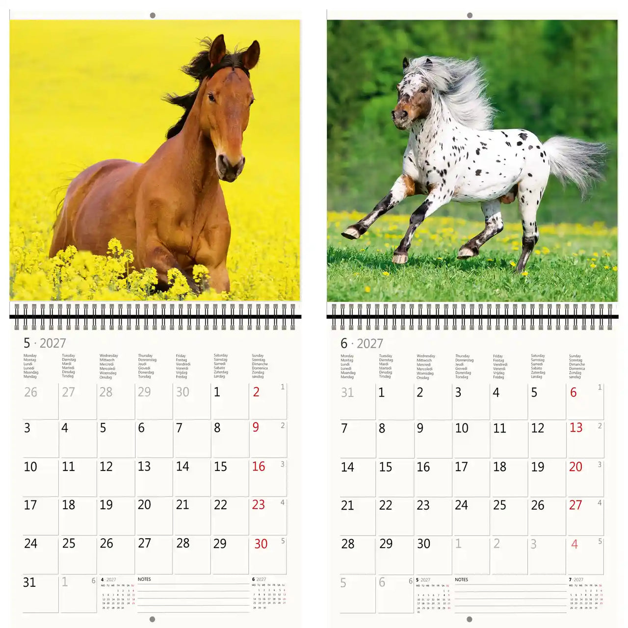 Kalender met afbeeldingen van paarden in een veld en een gele achtergrond
