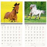 Kalender met afbeeldingen van paarden in een veld en een gele achtergrond