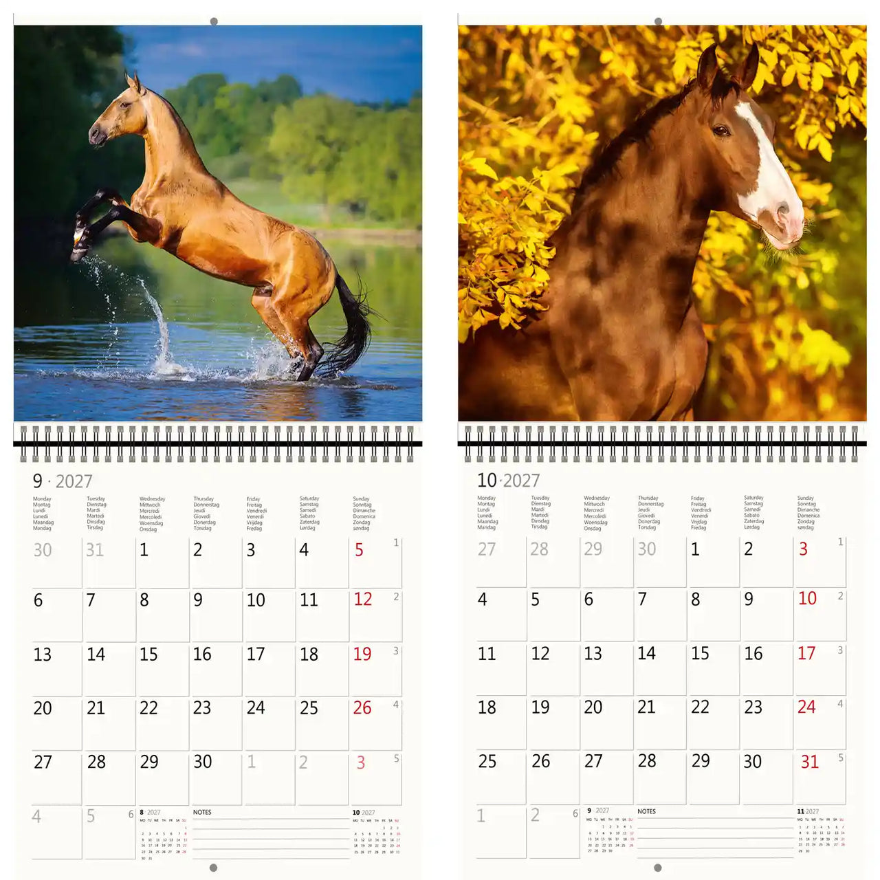 Kalender met paardenafbeeldingen op een witte achtergrond