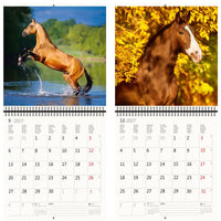Kalender met paardenafbeeldingen op een witte achtergrond