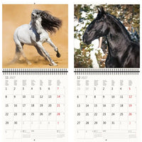 Kalender met afbeeldingen van een rennend wit paard en een zwart paard, met daarop de maanden 11 en 12 van 2027.