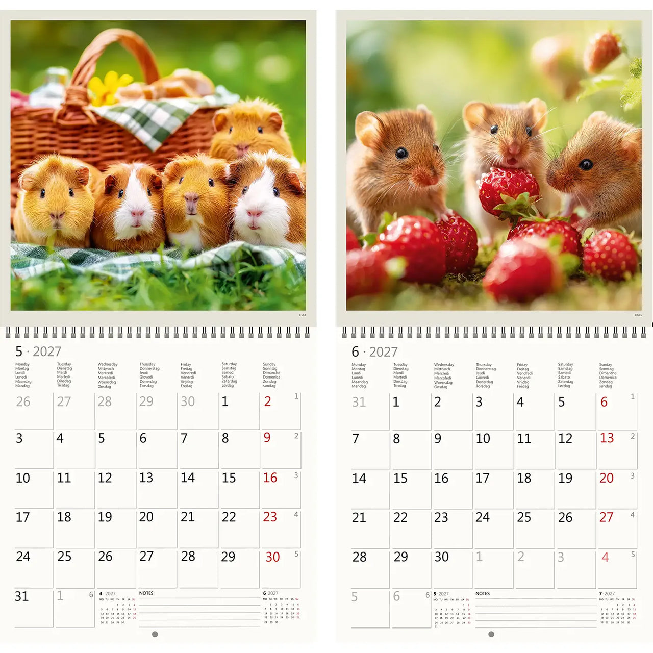Twee kalender pagina's met cavia's met een mand met voer en hamsters met aardbeien.