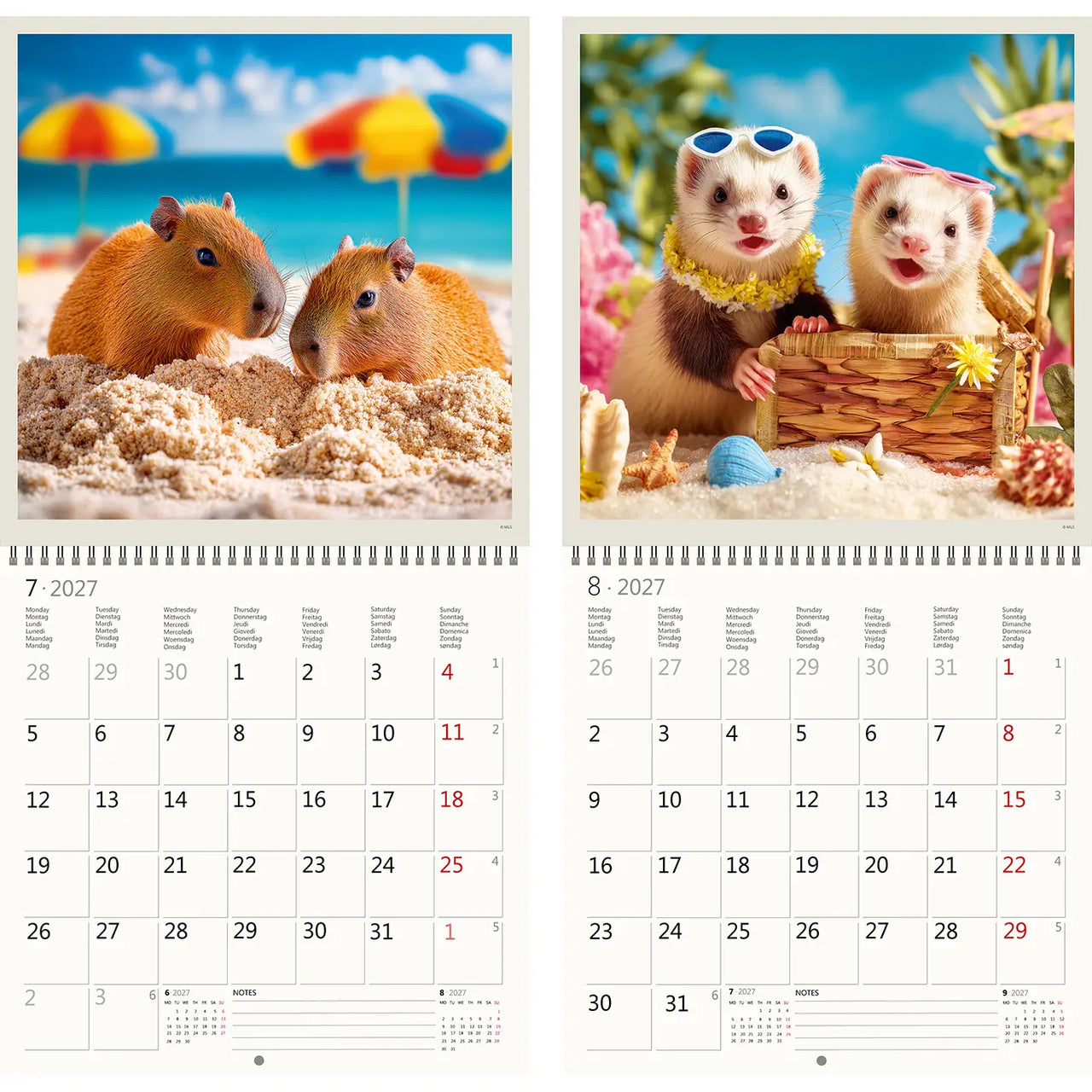 Kalender met twee afbeeldingen van dieren op een strand, met daarin een cavia en twee fretten.