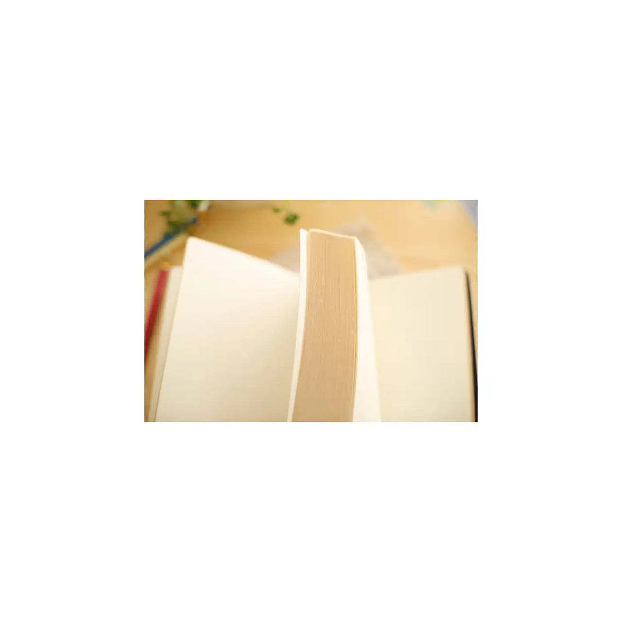 D6040 Kalpa Dreams a5 Notizbuch Gedicht extra Tick Gold Trim