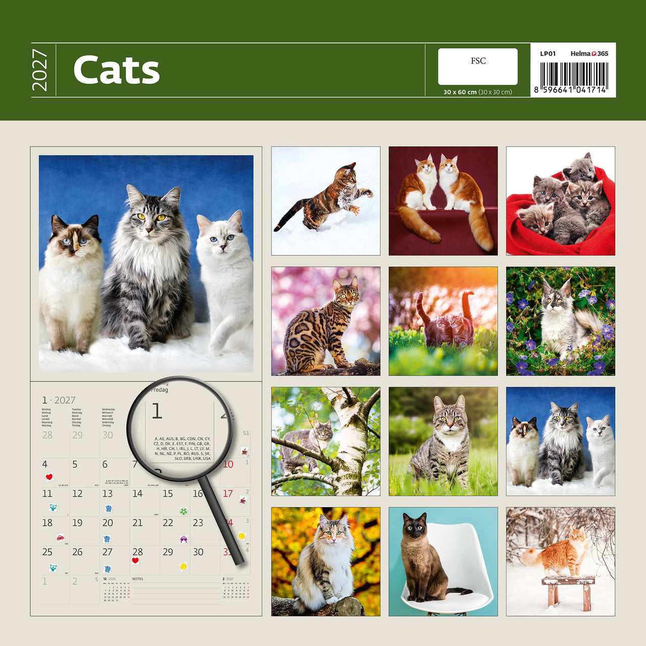 2027 Kattenkalender met diverse kattenafbeeldingen op een beige achtergrond