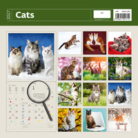 2027 Kattenkalender met diverse kattenafbeeldingen op een beige achtergrond