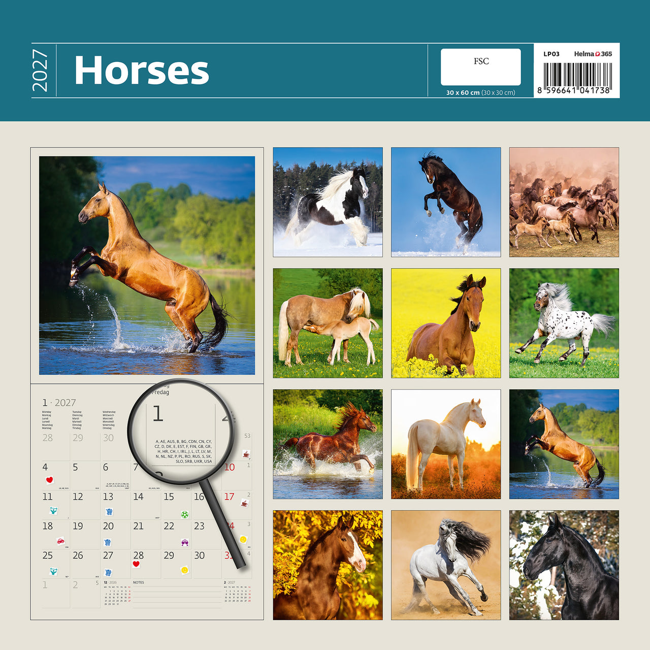 2027 Paardenkalender met afbeeldingen van paarden in verschillende poses en settings.