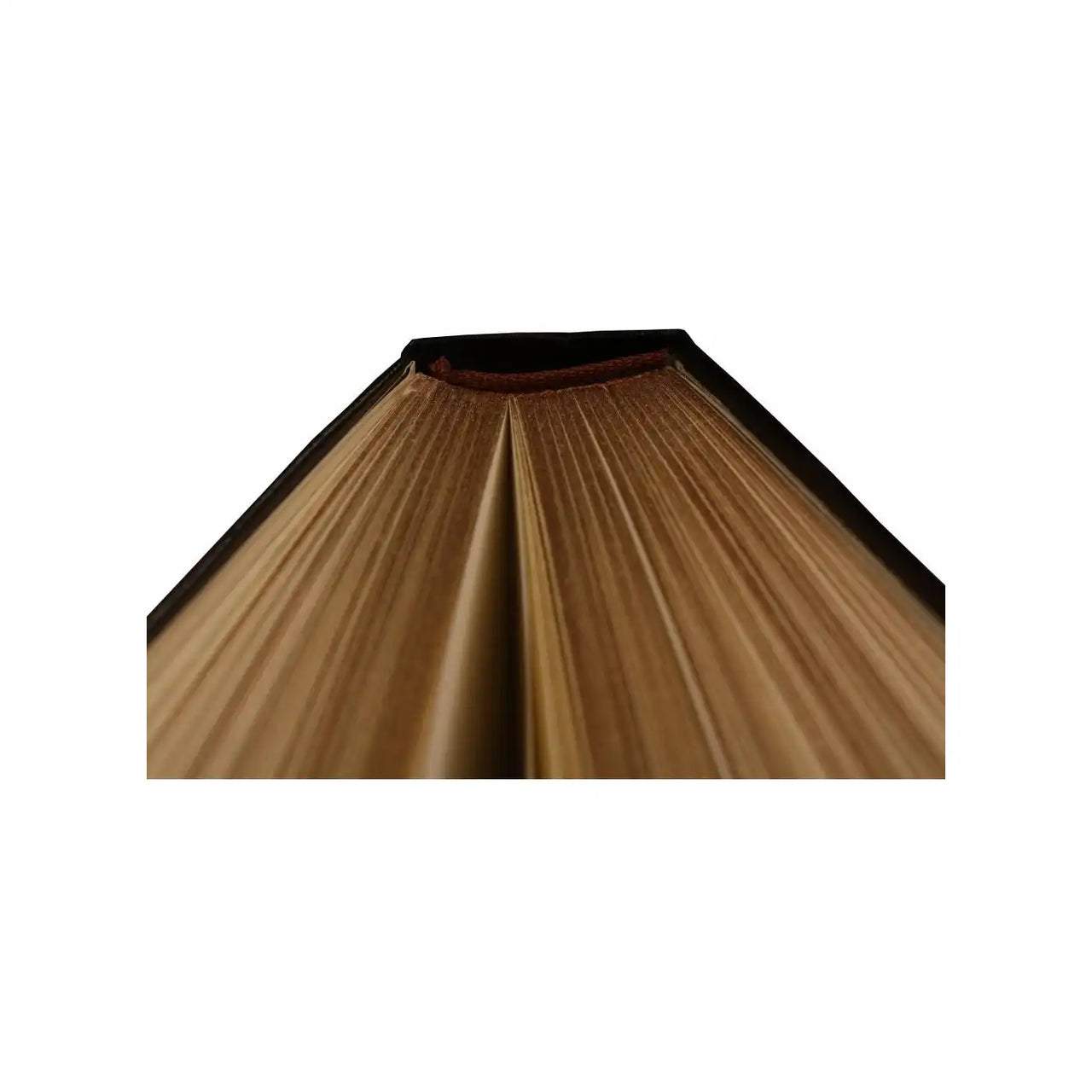 D6040 Kalpa Dreams a5 Notizbuch Gedicht extra Tick Gold Trim