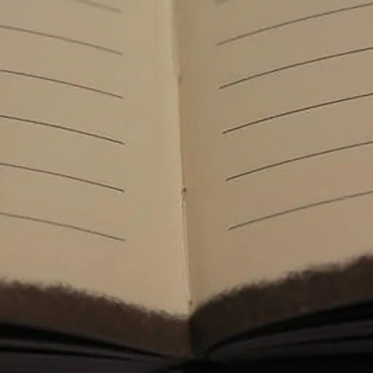 D6053-10 Capricornus Notebook Starial Schild - 22. Dezember bis 20. Januar